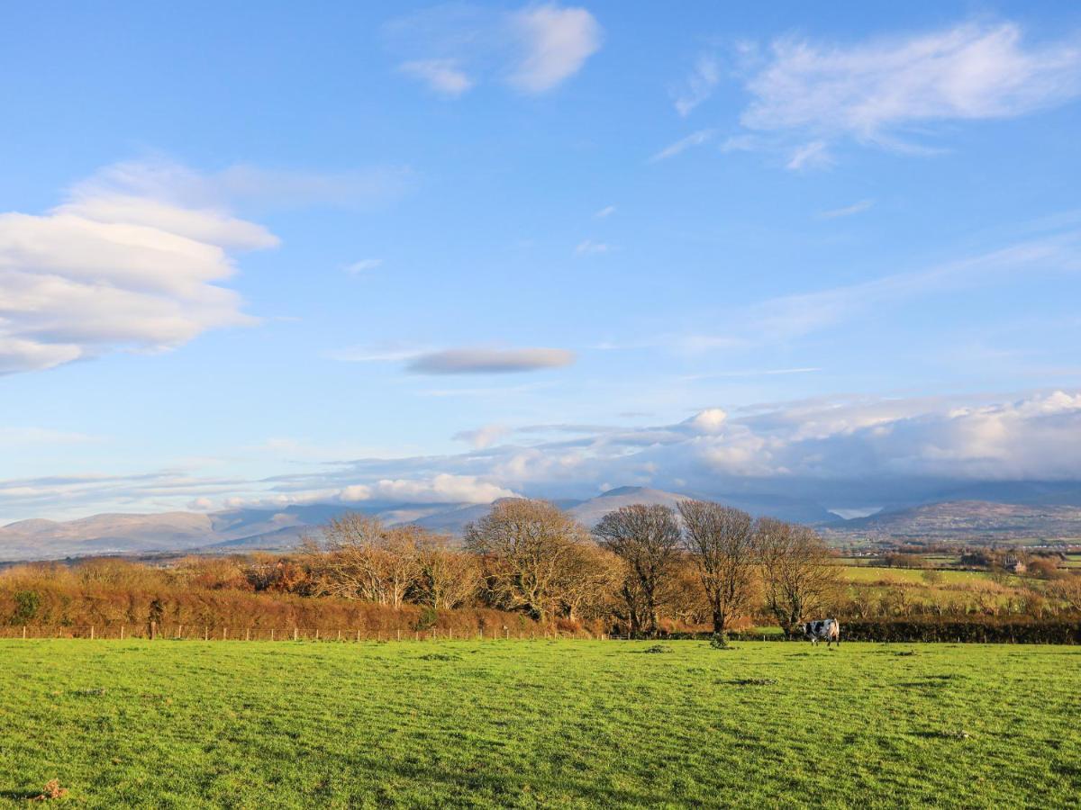 Y Goedwig Llanfairpwllgwyngyll Exterior foto